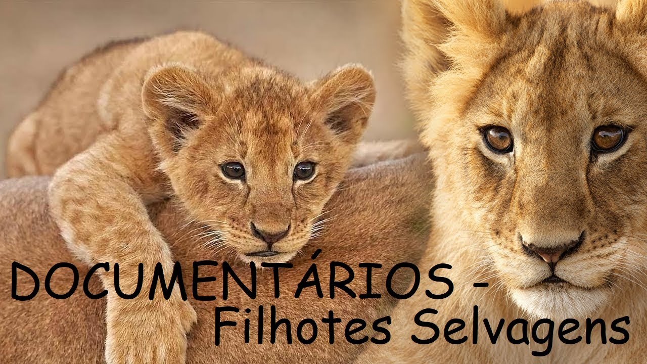 DOCUMENT&Aacute;RIOS -  Filhotes Selvagens