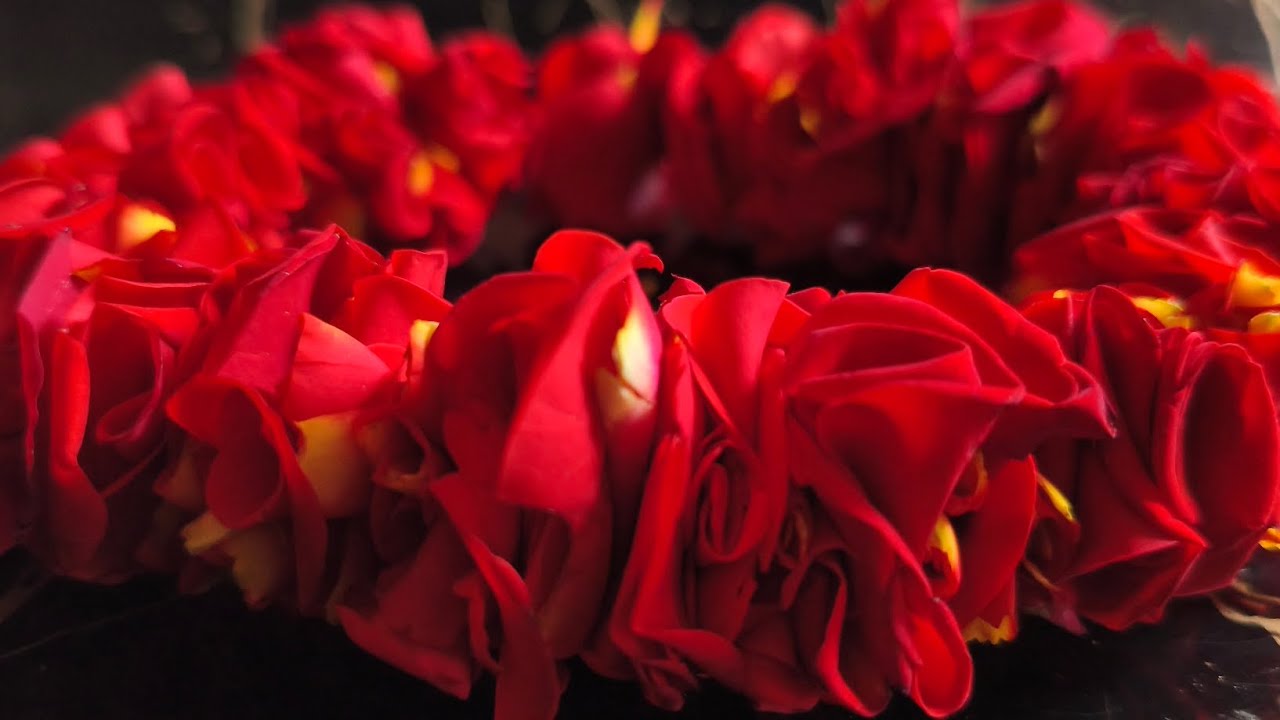 Rose petals garland making at home# How to string rose petals garland for hair#red rose