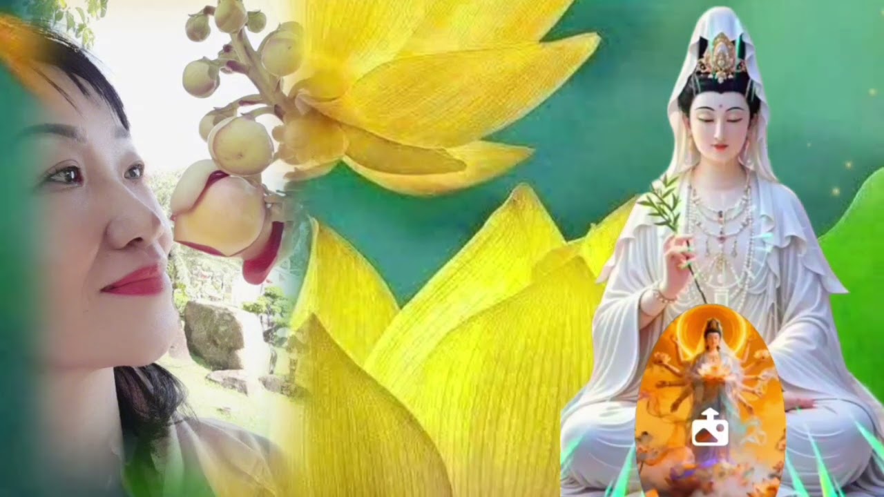 🎼 🍀 NHẠC THIỀN TỊNH TÂM  ( Nhạc Phật giáo)  Tuyết My Cover 🎤🌹