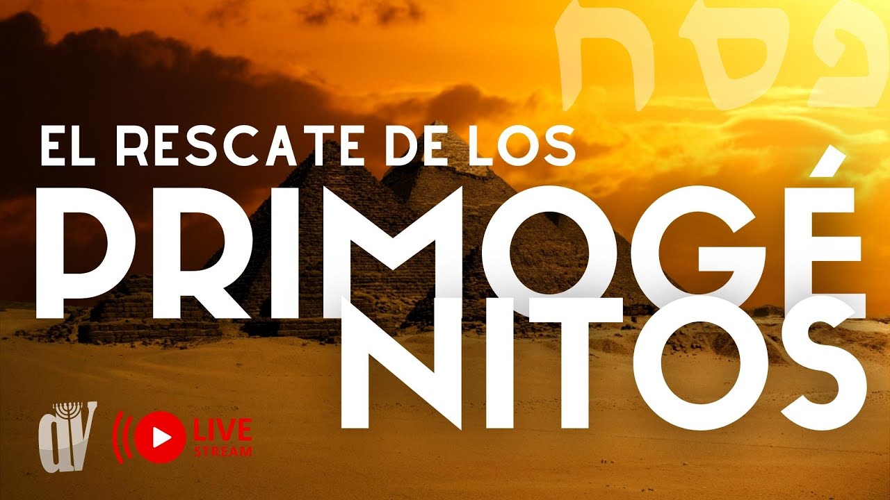 El rescate de los 🐑 PRIMOGÉNITOS 👨‍👦 [Especial de PESAJ] La redención y la CONSAGRACIÓN