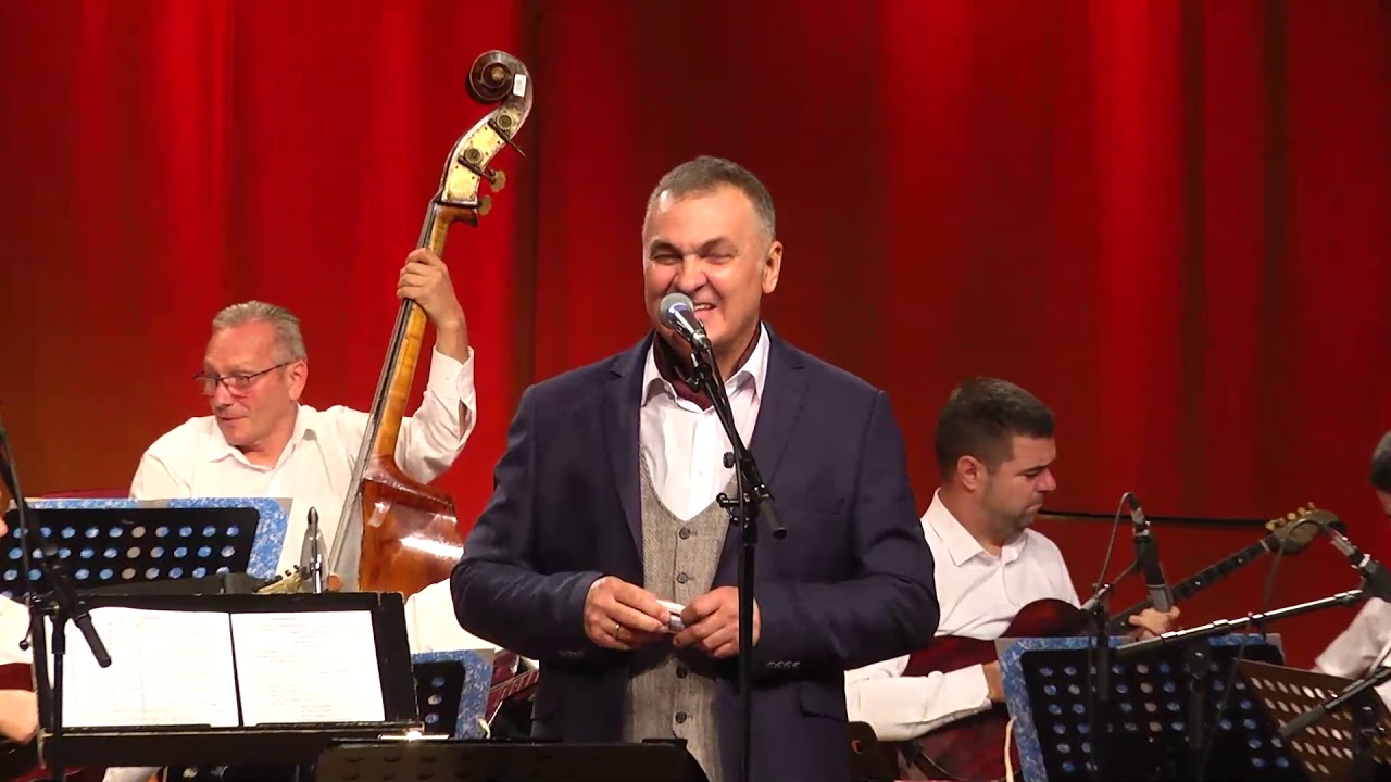 Slavko Našigaćin - Prošle Su Mnoge Ljubavi    #slavkonasigacin#koncert#vtortvns#