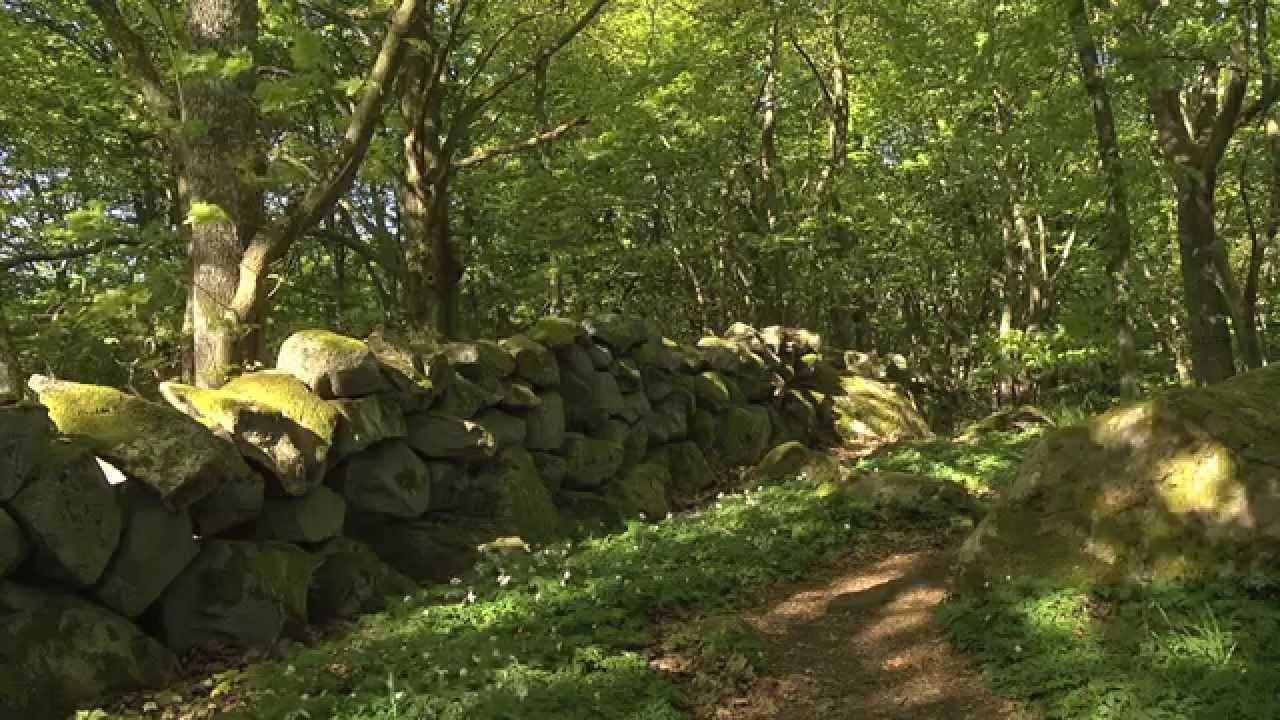 Naturdagbok österlen   1080p