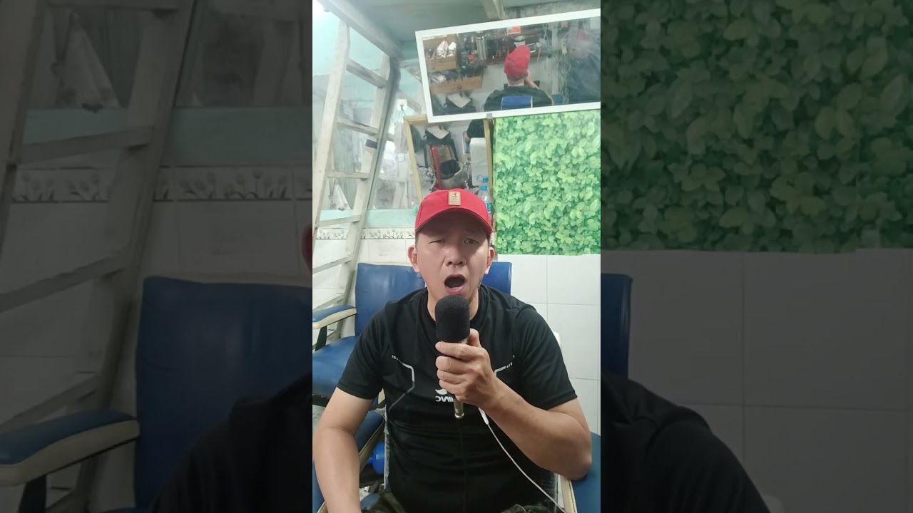 Mảnh  Tinh   Sai  Đôi, minh tan cover