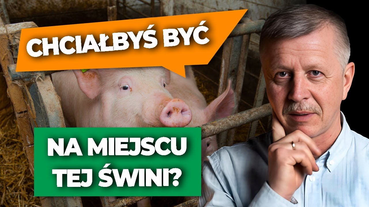 Komu potrzebny jest DOBROSTAN zwierząt? Czym on właściwie jest? | Hoduj z nami