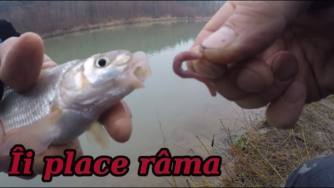 Pescuit la scobar fara nada