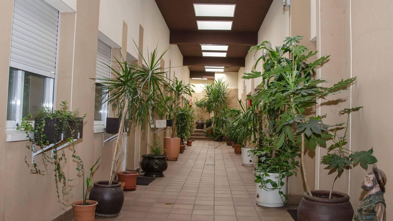 Hotel Ciudad de Alcalá, Alcala de Henares, Spain | Travel With Urvi