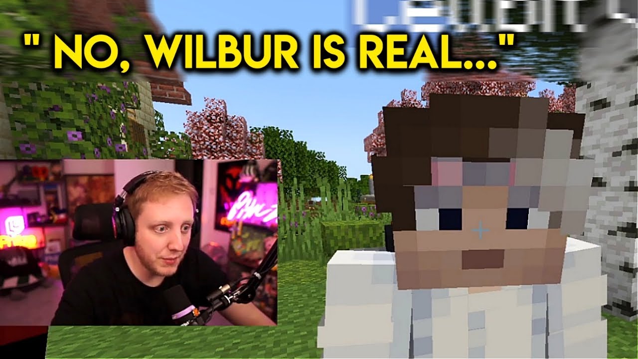 Philza defends Wilbur against his non-existing allegations. | QSMP Highlights