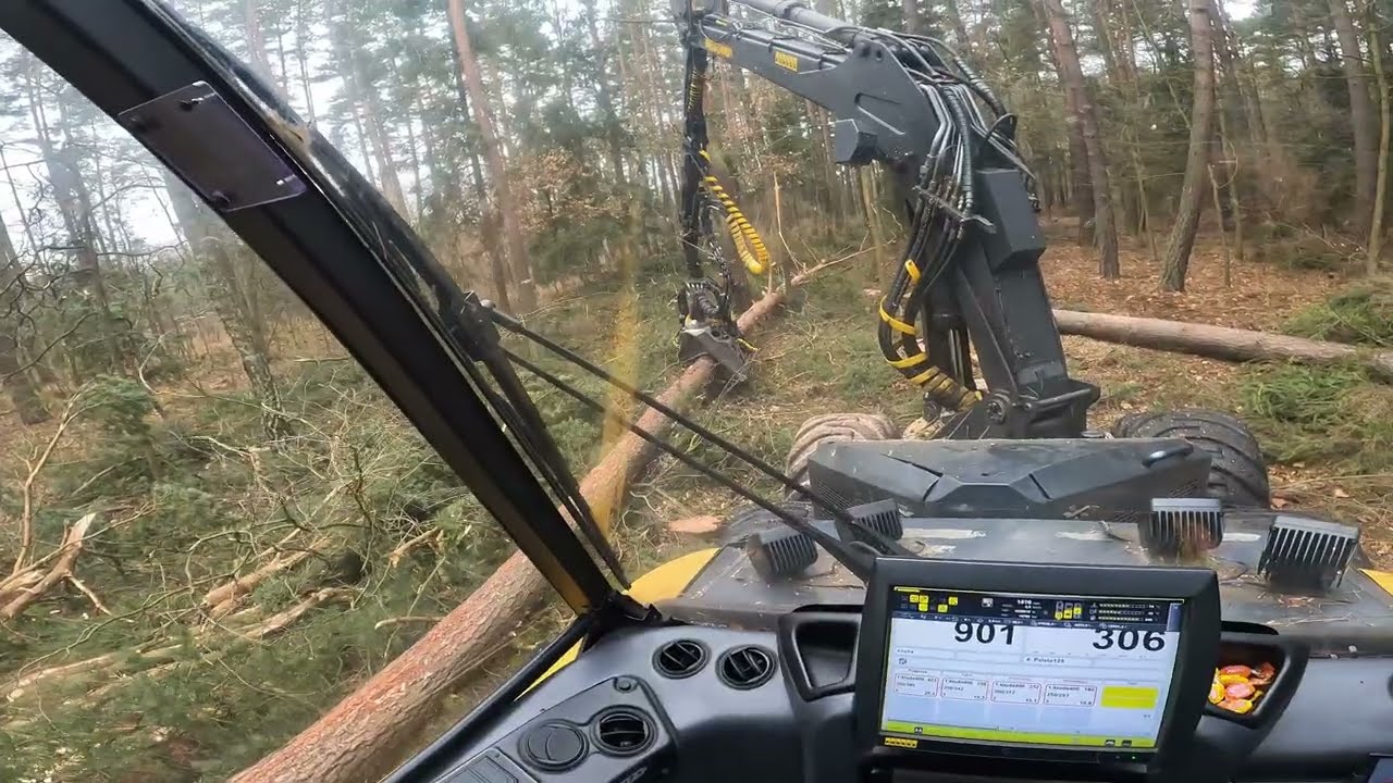 Kolejny zrąb🌲Niby ładne ale nie do końca...