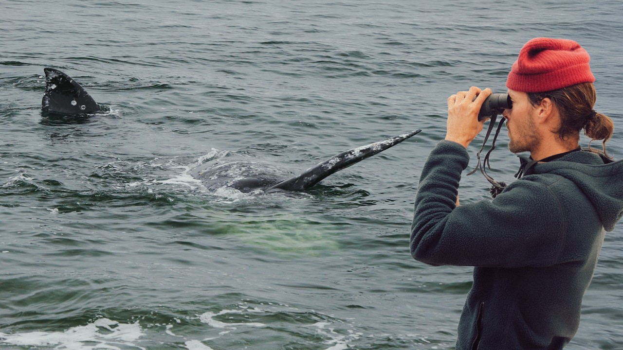 A Huge Surprise In The Water...