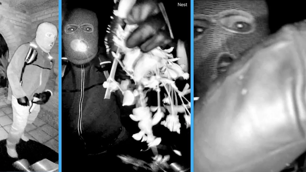 FBI shares video images of Nancy Guthrie home intruder