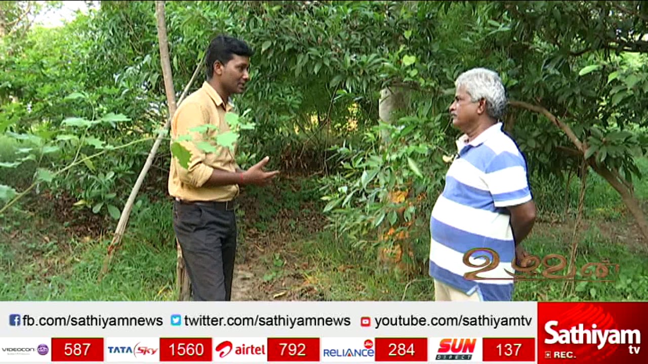பழ மரங்கள் மற்றும் வணிக மரங்கள் | இறை அழகன் | உழவன் | பகுதி 2
