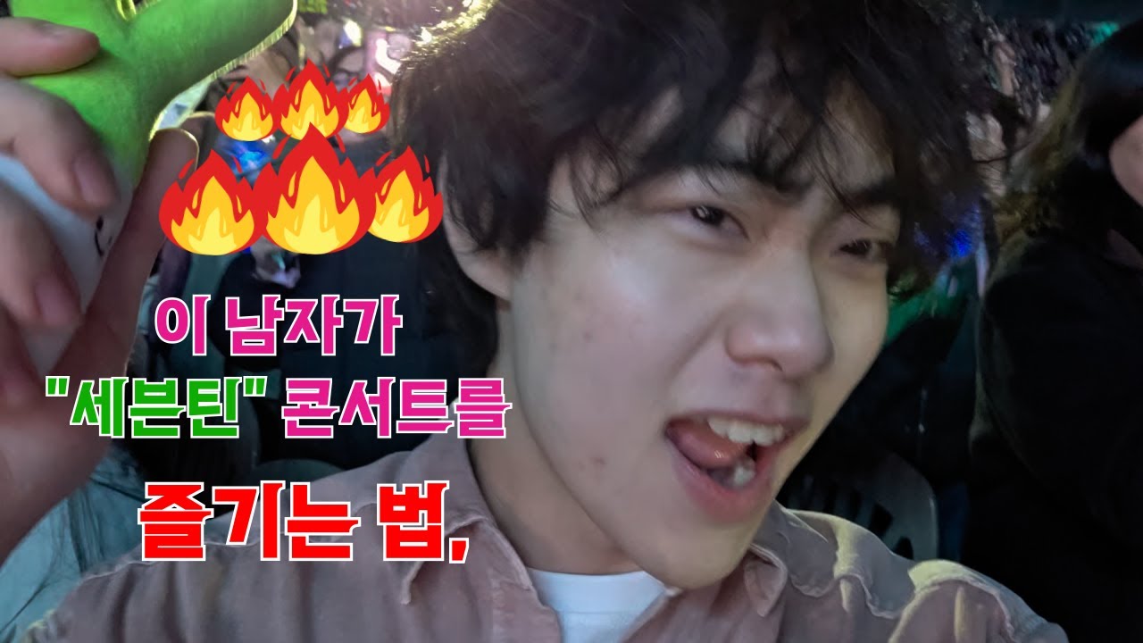 누가 내 인터파크 해킹해서 티켓 사둠 ㅋㅋㅋ     #세븐틴#콘서트브이로그