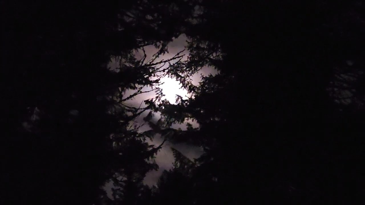Enjoying A full moon