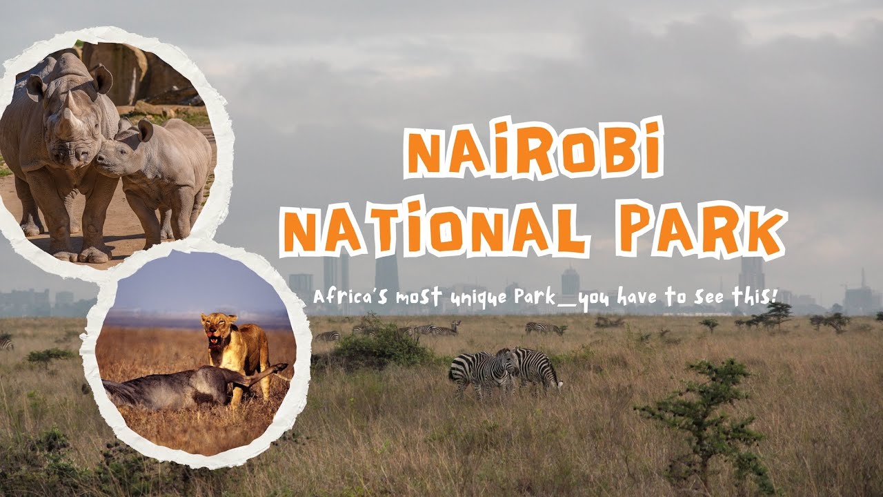 Nairobi National Park | Sheldrick Elephant Orphanage | Giraffe Centre