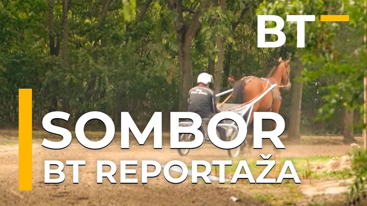 BT REPORTAZA   SOMBOR