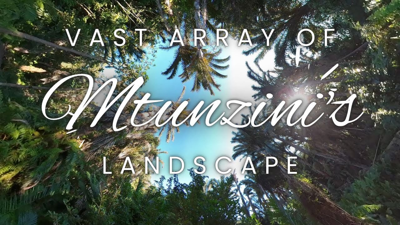 I love Mtunzini - Insta360 One X2