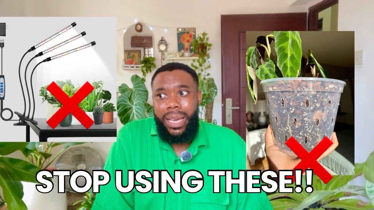 7 Things That Make Your Plant Room / Collection Ugly
