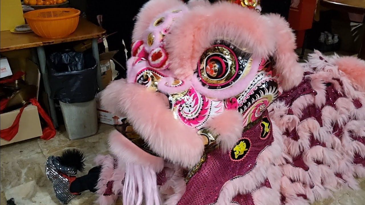 Lion Dance Franco Asiatique 英武堂 (LDFA) - Eye Dotting 2023 - TAING FAMILY