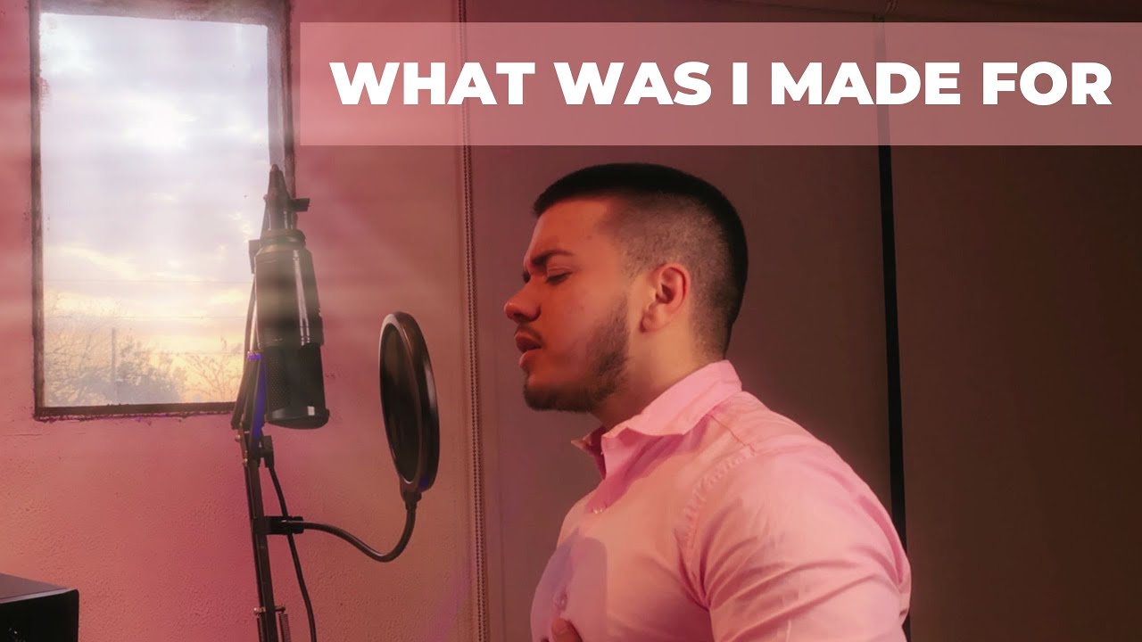 WHAT WAS I MADE FOR - BILLIE EILISH (COVER)