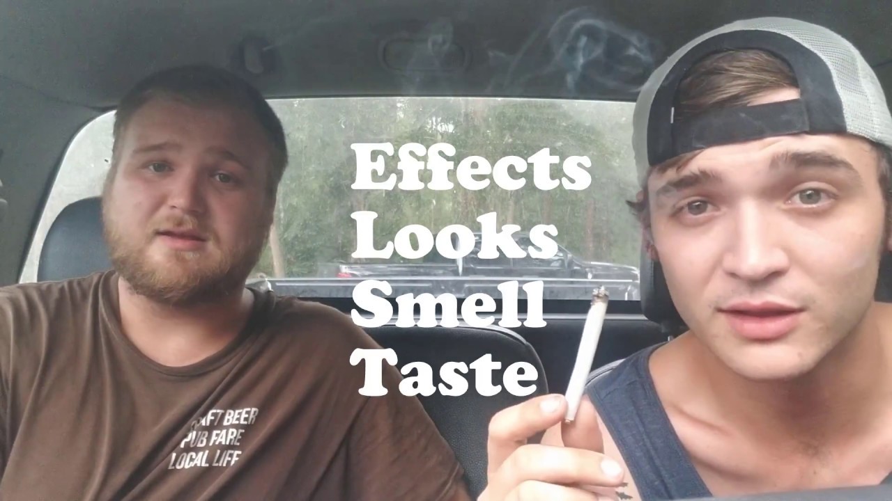 The Lemon Tree Cannabis Strain Review