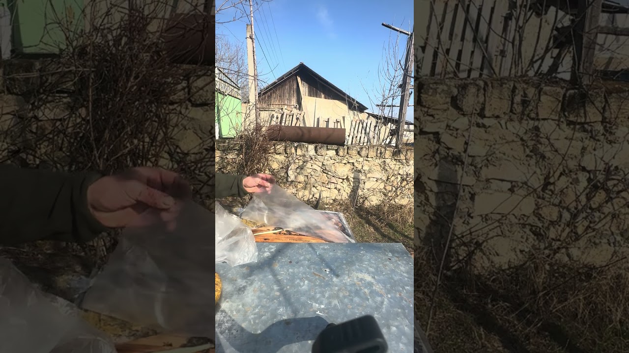 150. Miere cu polen (18 martie ‘26)