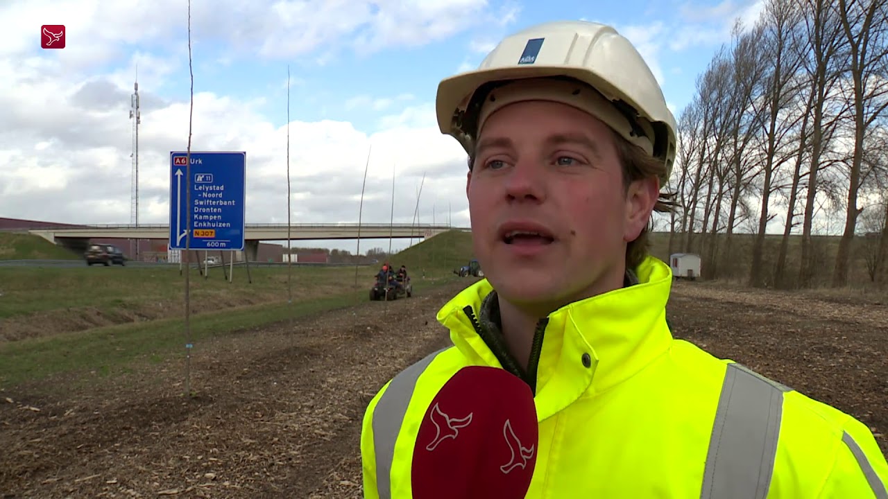 Rijkswaterstaat start met het planten van 7.000 populieren