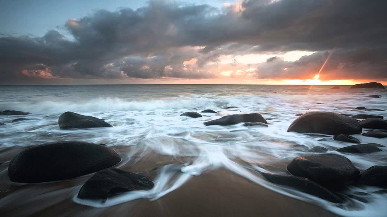 Octane, DLR & Ant TC 1 ft. Jenna G - The Lost Walrus