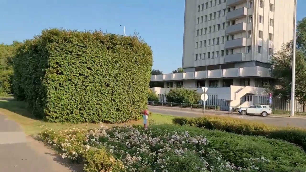 hungary#debrecen#데브레첸대학교