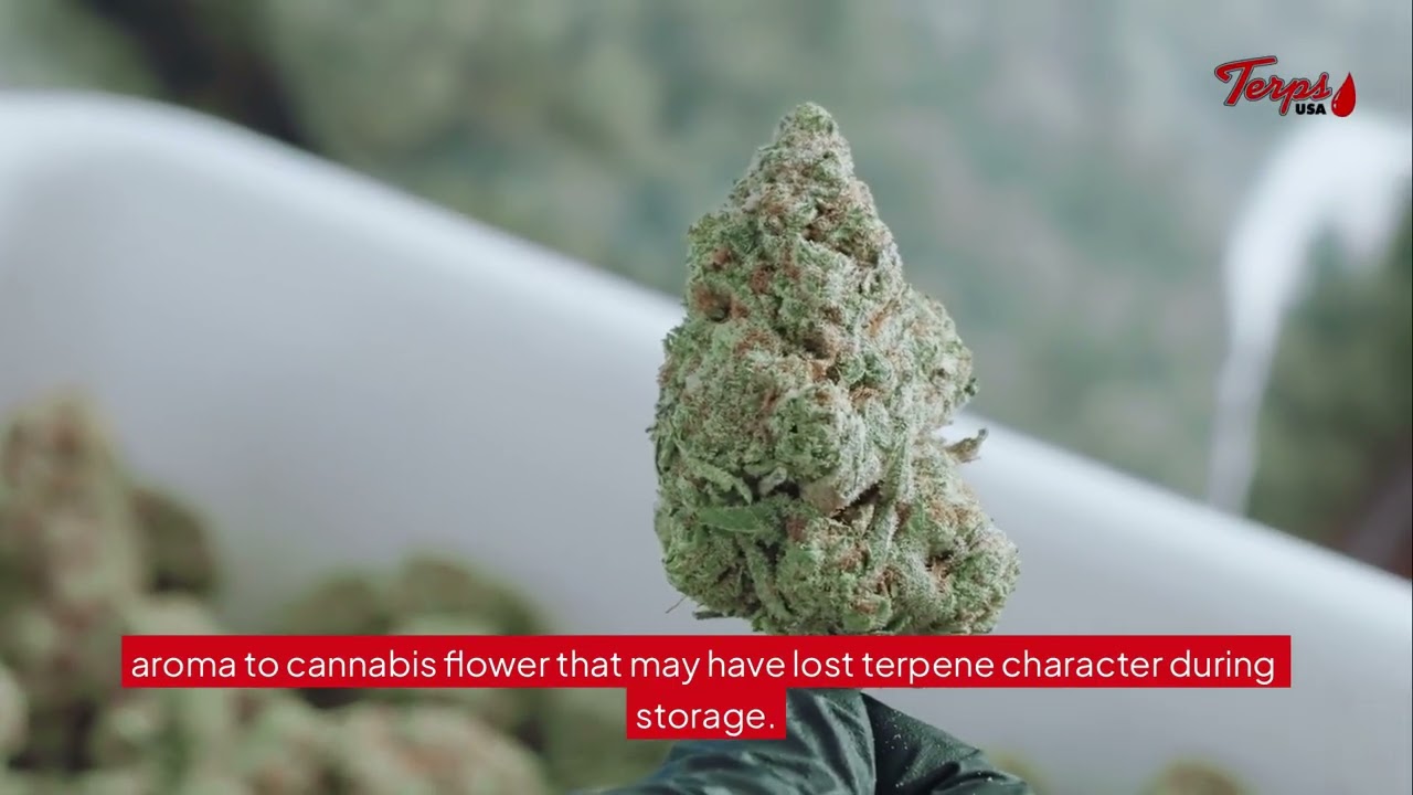 What Is Terp Spray Made From? &ndash; Terps USA&reg;