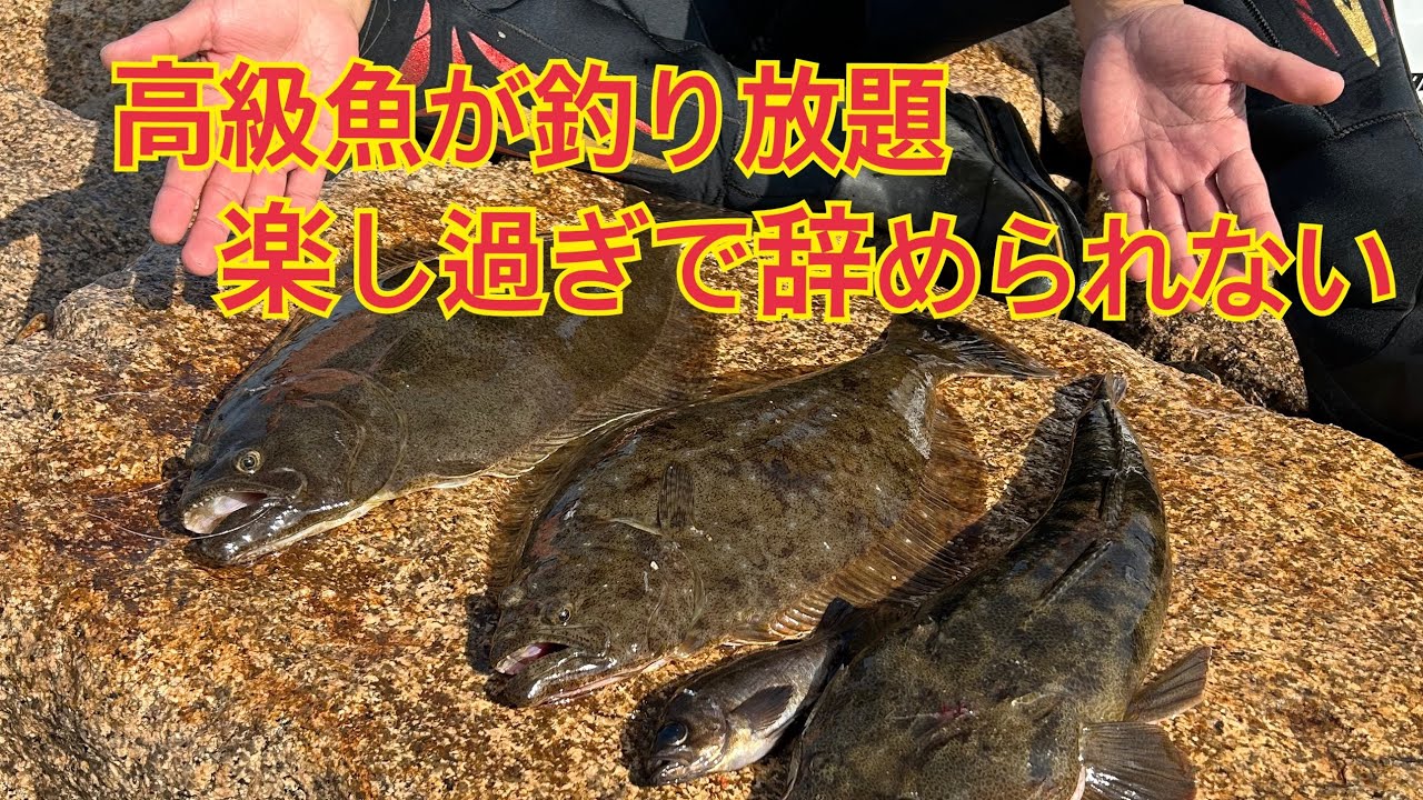激渋から一転し高級魚が釣れ過ぎて楽し過ぎ
