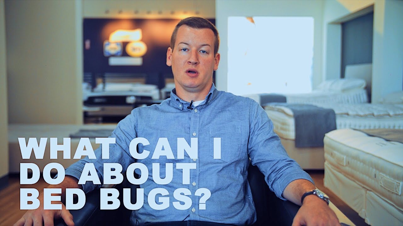 How to protect your mattress from bed bugs?