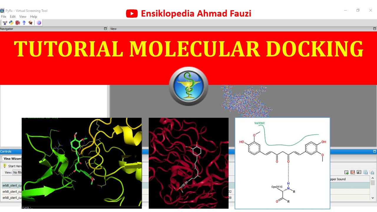 Cara Melakukan Molecular Docking antara Protein dengan Senyawa Alami Kandidat Obat