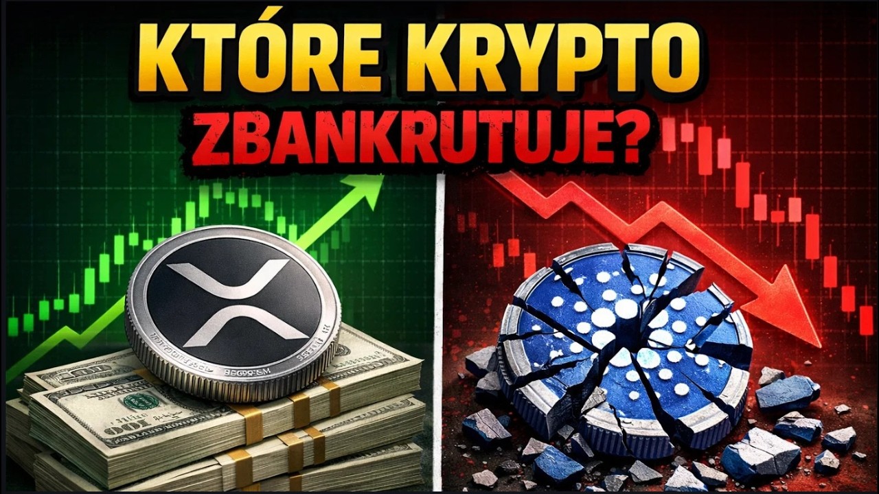 Które krypto zbankrutuje? Mocne wnioski nad XRP i ADA