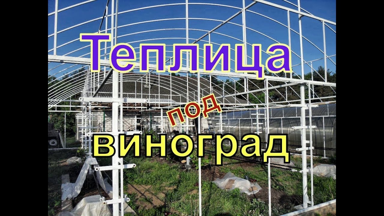 Виноград . Металлическая теплица для винограда.