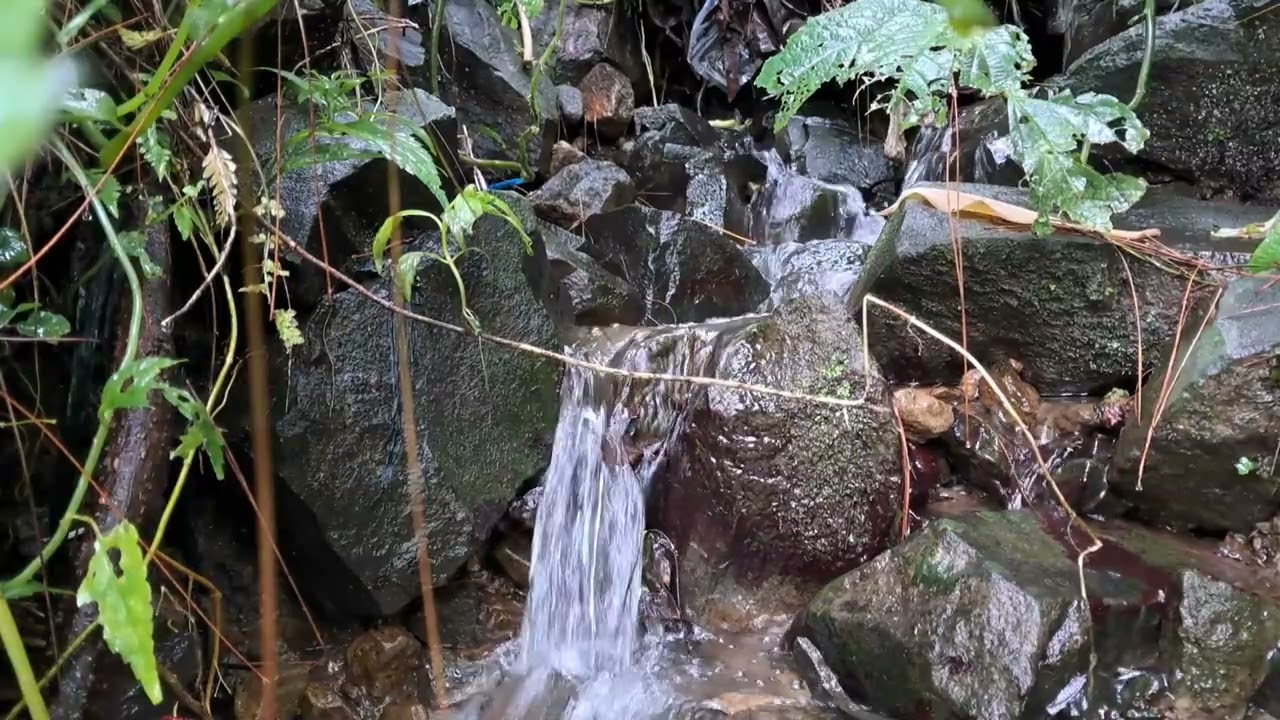 River Sounds for Insomnia Calming Nature Ambience for Sleep