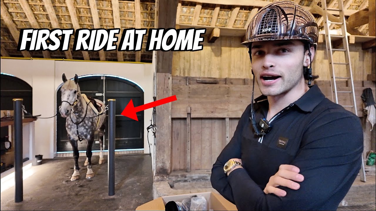 My Horses Get Evaluated + New Gear Unboxing & First Ride on My New Hunting Horse