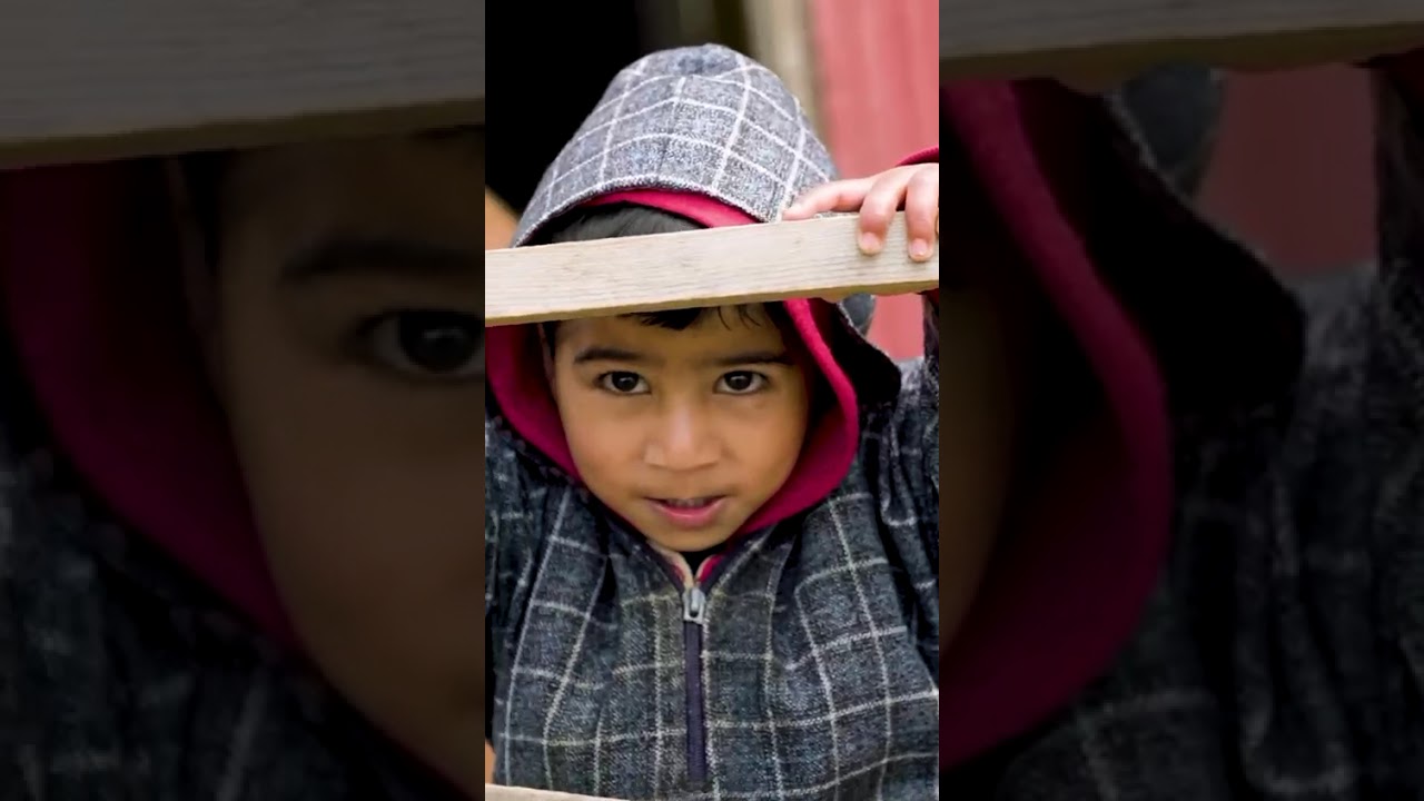 Разъяснение отмены статьи 370 | Кашмир полностью интегрирован в состав Индии