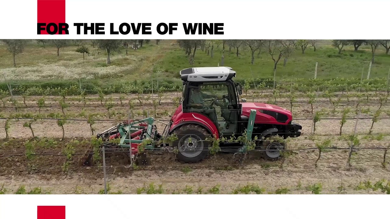 Clemens Vinitech 2018