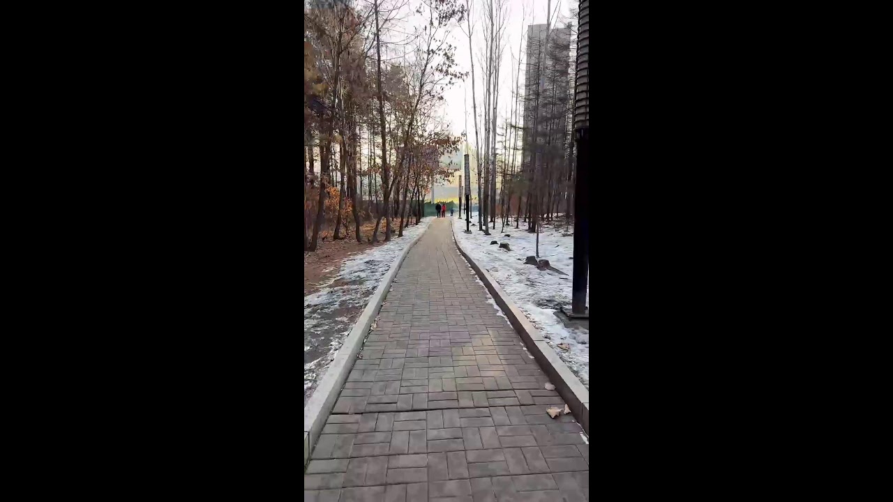 Winter Forest Live｜Feeding Wild Squirrels with Live Narration 🐿️🌲