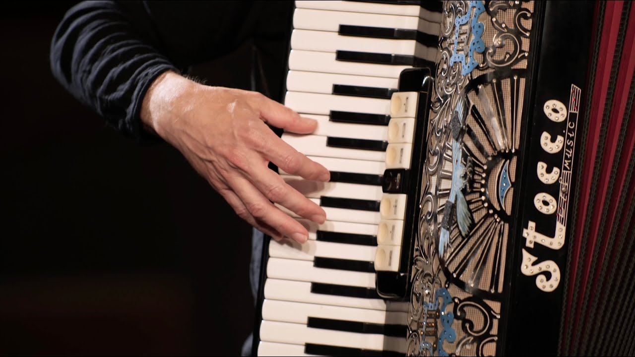 FISARMONICA | VALZER MIX (1) Stefano Linari @Musicainballo