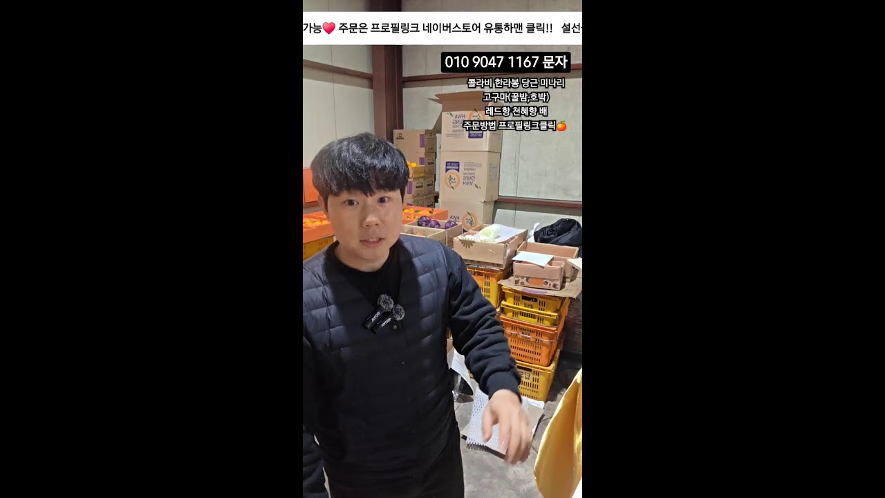 유통하맨 설선물용 한라봉 레드향 천혜향!#한라봉 #제주감귤#구좌당근#황금향#콜라비