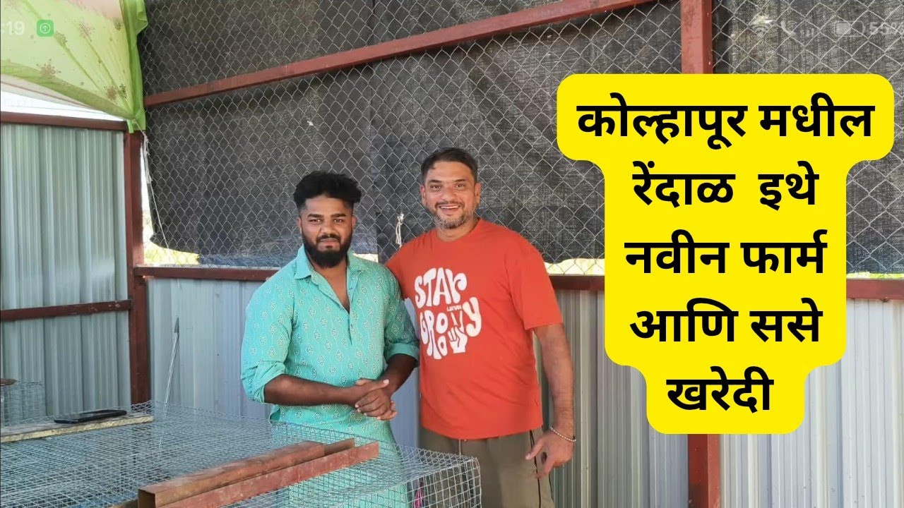 कोल्हापूरातील रेंदाळ इथे फार्म आणि ससे खरेदी #ससेपालन #farming #rabbitfarming #abungu #yt #kolhapur 