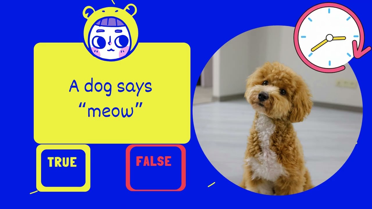 Test Your Kid Growth -  #kidsvideo #educational #kidsactivities #preschool  #generalknowledge #kids