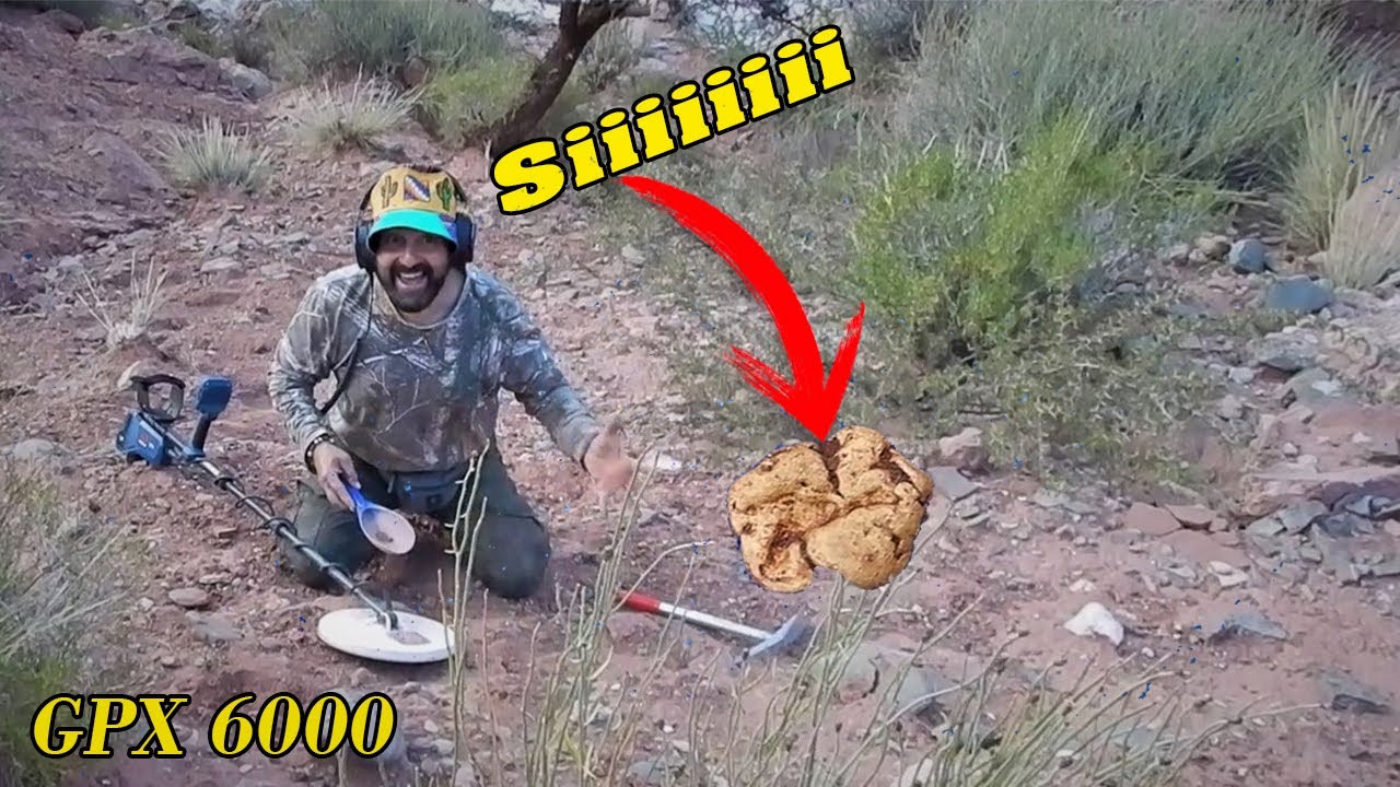 ¡Encontré ORO!  I found the GOLD others didn't  My gold record