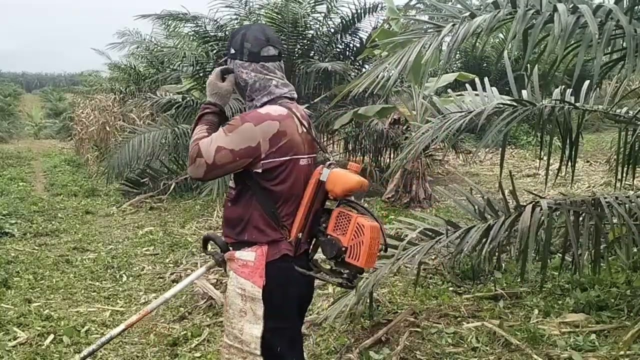 #mesin rumput yasuka, kerja santai tetap nyaman