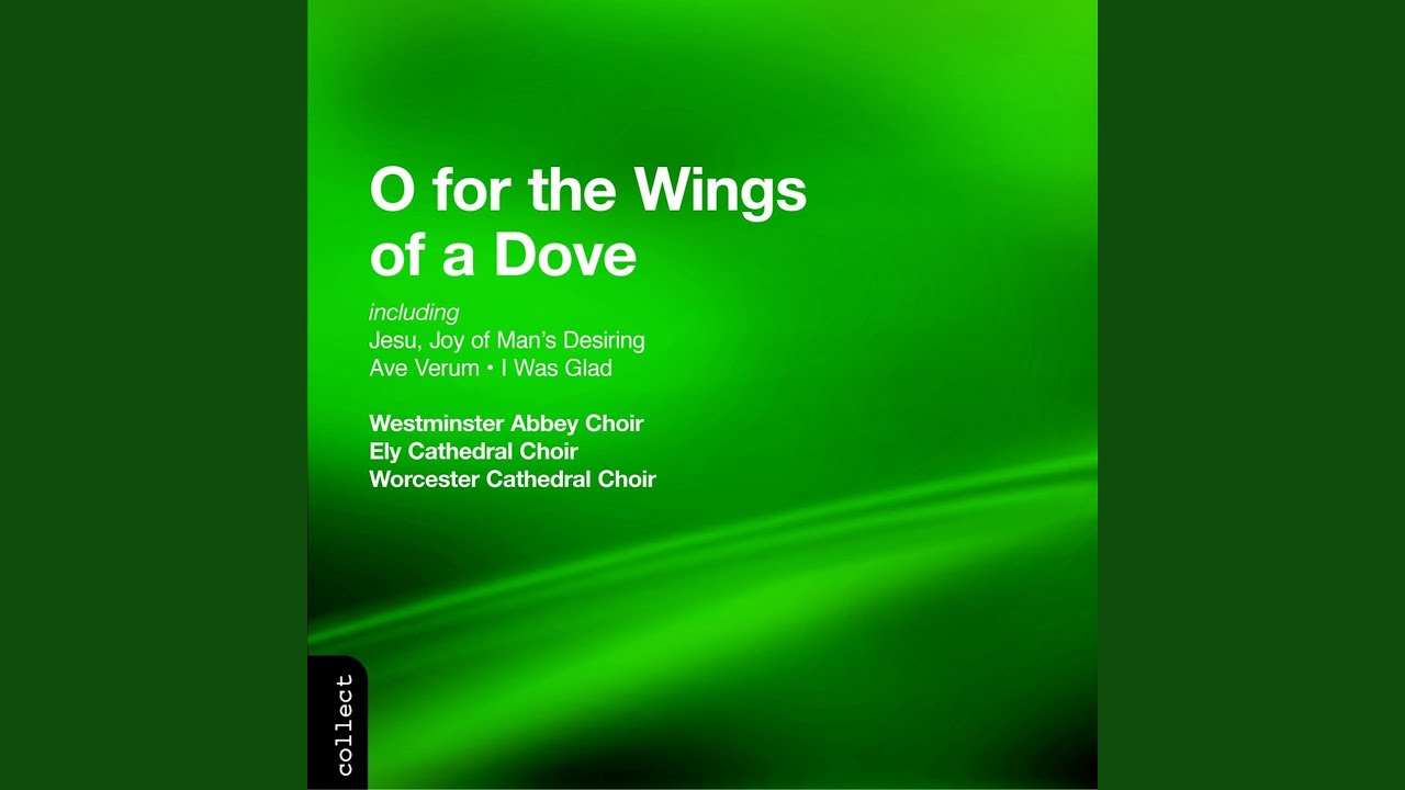 Hear my prayer, WoO 15, MWV B. 49: Hear My Prayer