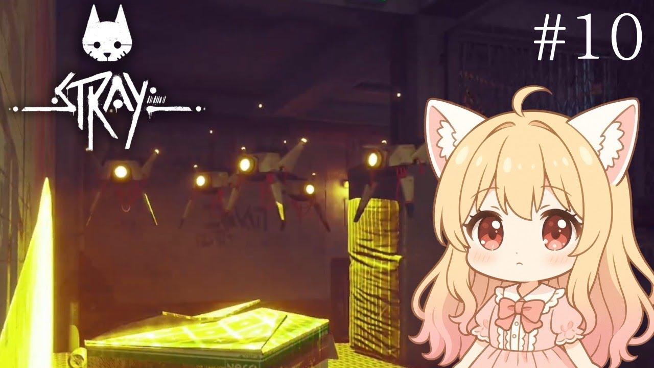 サラマンティンどこやねん#10【Stray】