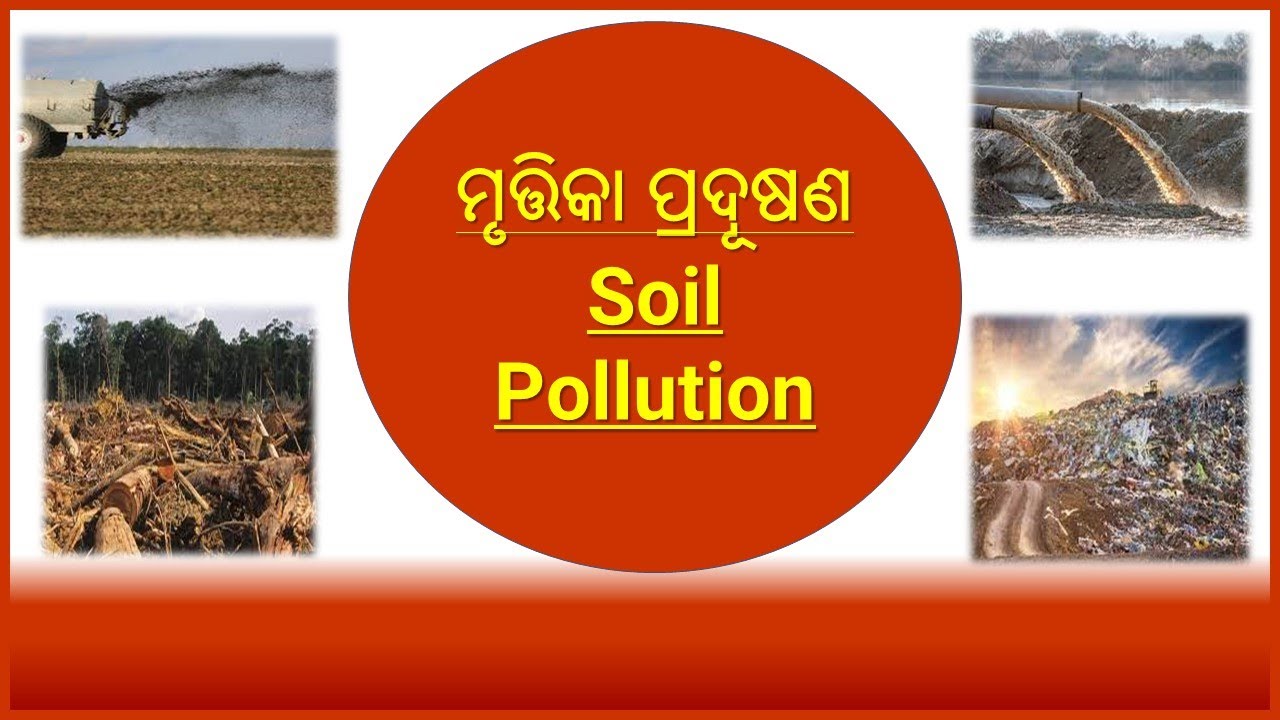 Soil Pollution in Odia||cause of soil pollution||Impact of soil pollution||Part -1