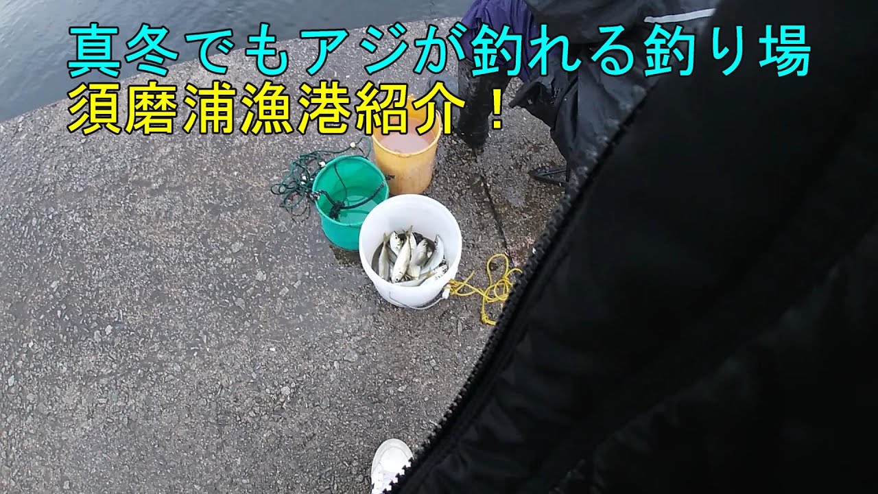 アジ、メバル、カレイ釣れる兵庫県、須磨浦漁港の釣り場ポイント・行き方を紹介