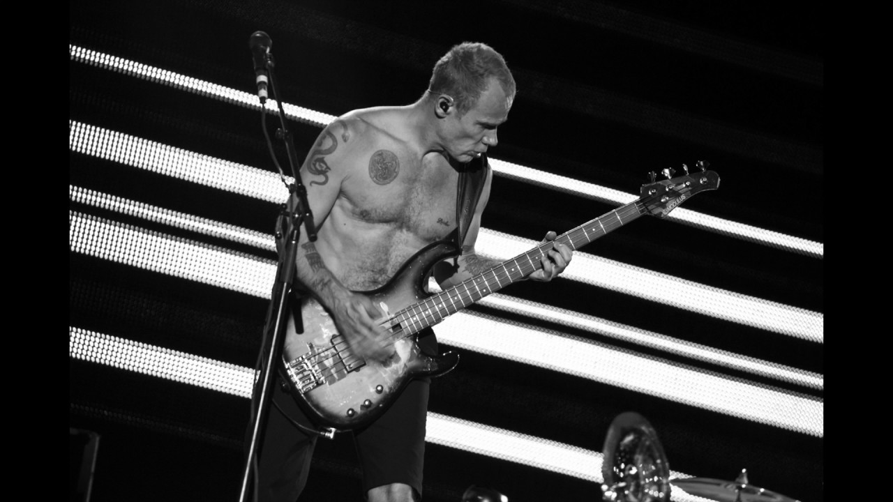 Red Hot Chili Peppers - Snow (Hey oh) Bass Backing Track (No Bass)